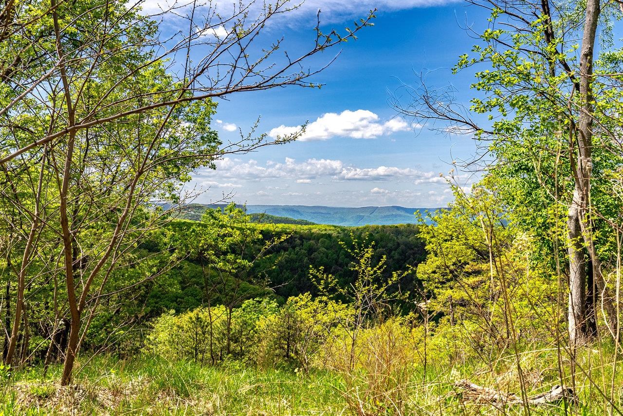 1797 CUBBAGE HOLLOW RD, STANLEY, Virginia 22851, ,Land,1797 CUBBAGE HOLLOW RD,664338 MLS # 664338
