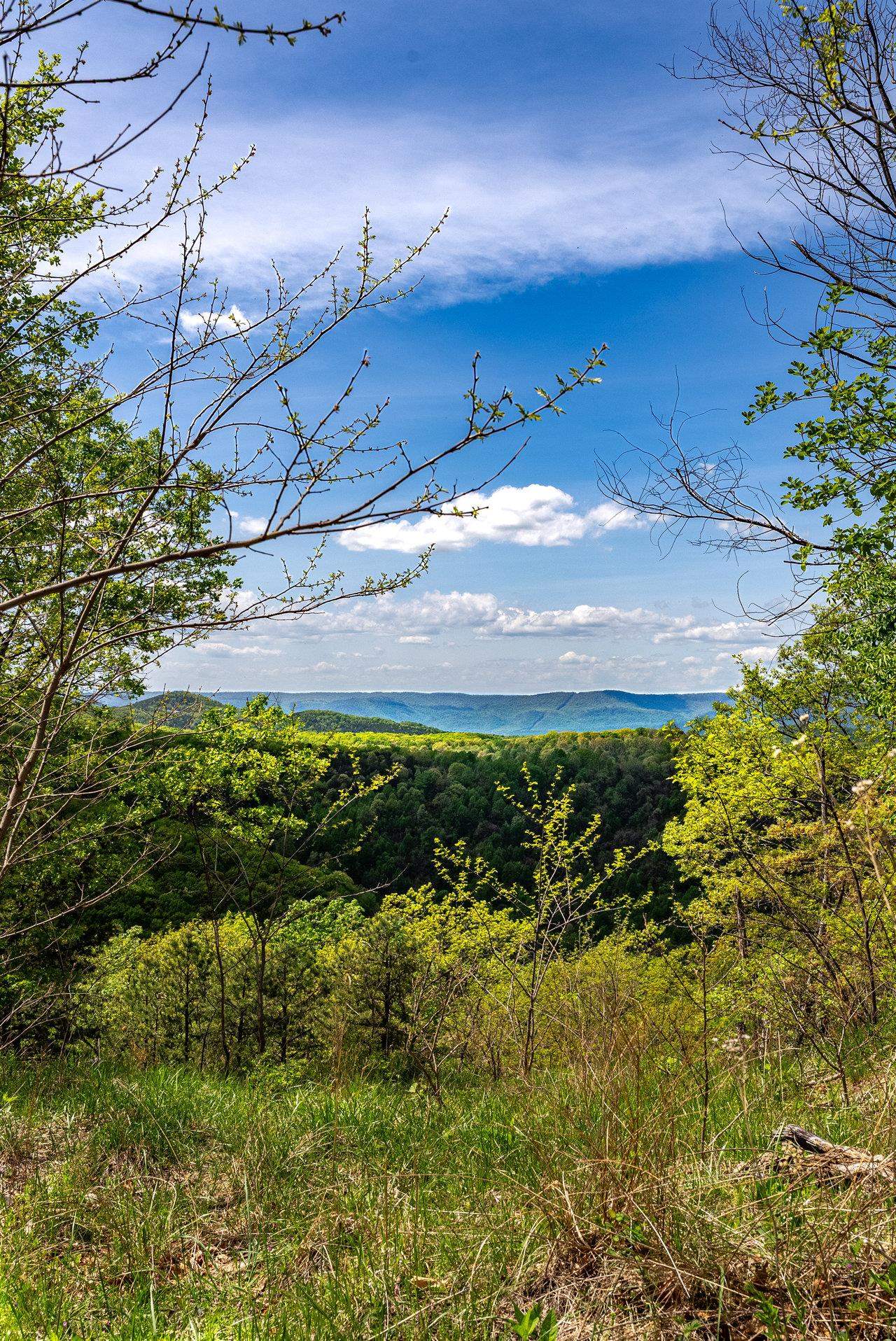 1797 CUBBAGE HOLLOW RD, STANLEY, Virginia 22851, ,Land,1797 CUBBAGE HOLLOW RD,664338 MLS # 664338