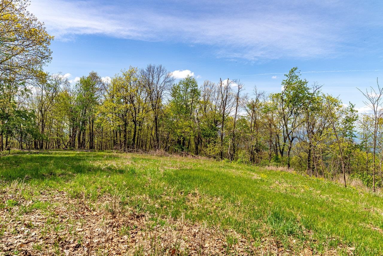 1797 CUBBAGE HOLLOW RD, STANLEY, Virginia 22851, ,Land,1797 CUBBAGE HOLLOW RD,664338 MLS # 664338