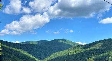 0 OVERLOOK MOUNTAIN ROAD (6.67ACRES), ELKTON, Virginia 22827, ,Land,For sale,0 OVERLOOK MOUNTAIN ROAD (6.67ACRES),VAPA2003152 MLS # VAPA2003152