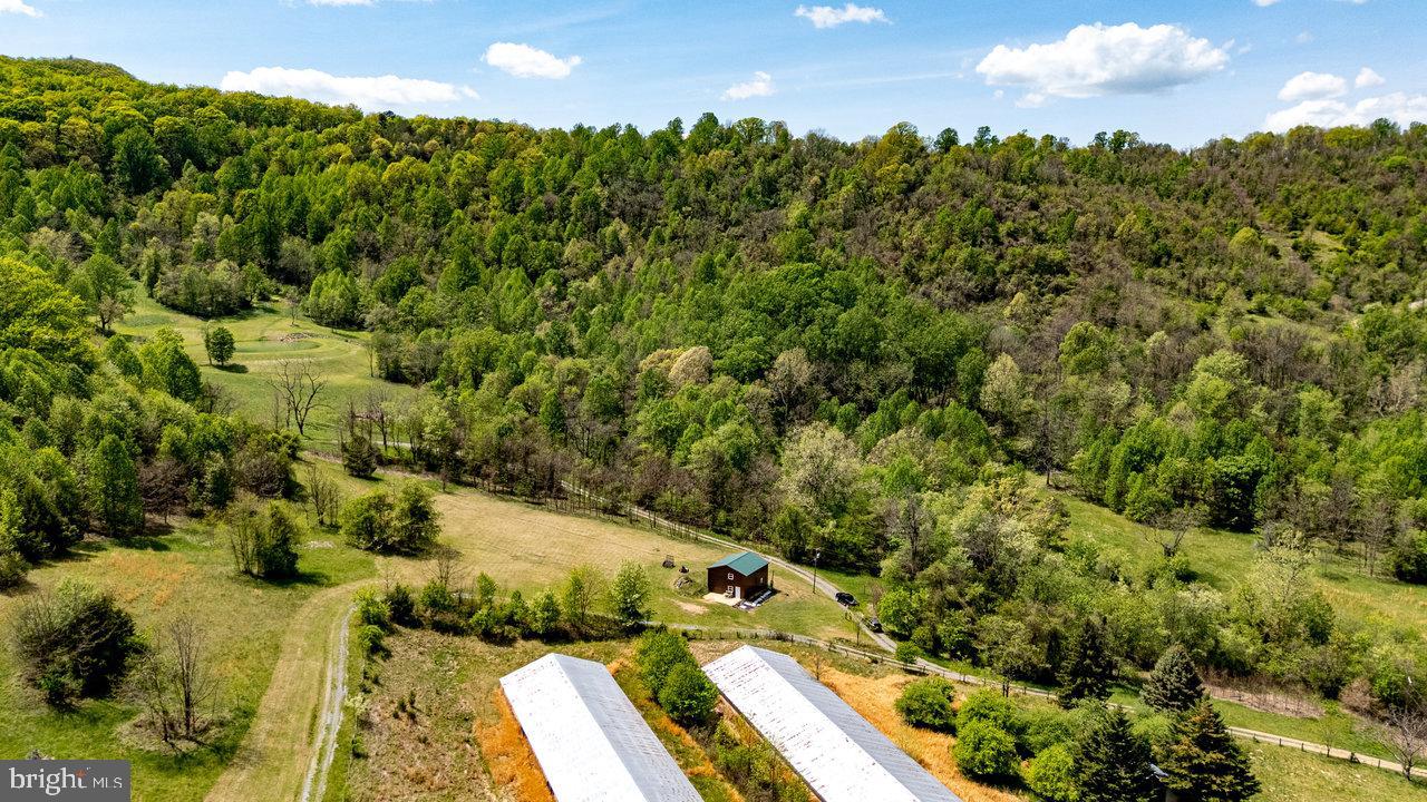 1797 CUBBAGE HOLLOW ROAD, STANLEY, Virginia 22851, ,Land,For sale,1797 CUBBAGE HOLLOW ROAD,VAPA2004886 MLS # VAPA2004886