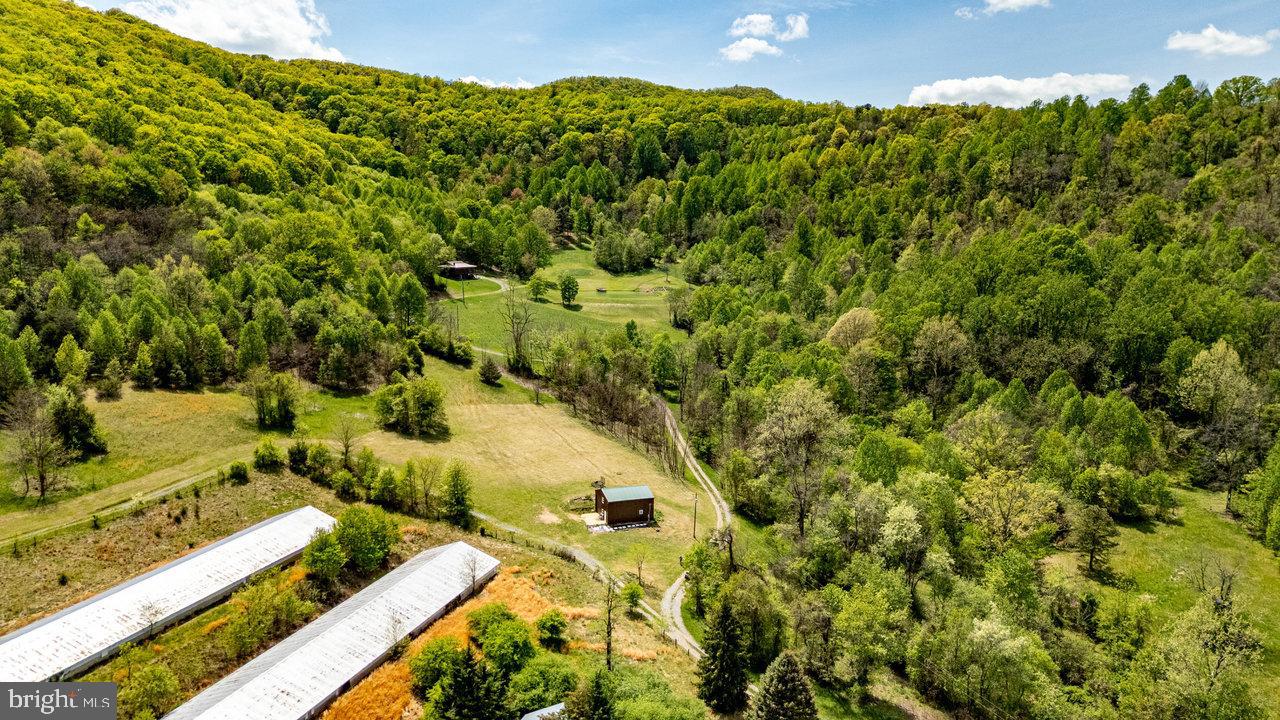 1797 CUBBAGE HOLLOW ROAD, STANLEY, Virginia 22851, ,Land,For sale,1797 CUBBAGE HOLLOW ROAD,VAPA2004886 MLS # VAPA2004886