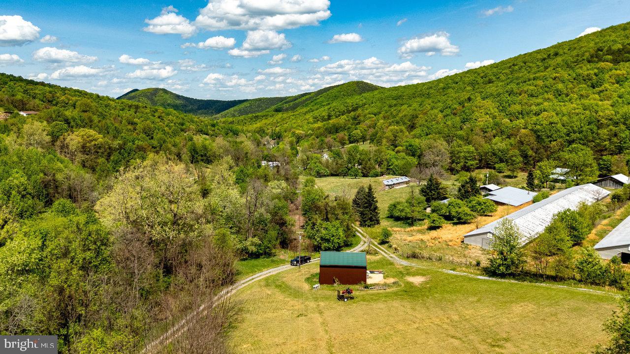 1797 CUBBAGE HOLLOW ROAD, STANLEY, Virginia 22851, ,Land,For sale,1797 CUBBAGE HOLLOW ROAD,VAPA2004886 MLS # VAPA2004886
