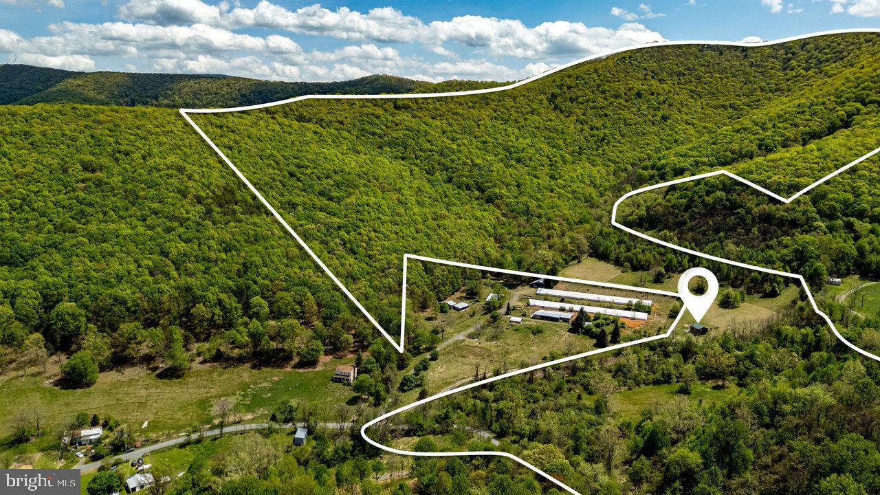1797 CUBBAGE HOLLOW ROAD, STANLEY, Virginia 22851, ,Land,For sale,1797 CUBBAGE HOLLOW ROAD,VAPA2004886 MLS # VAPA2004886