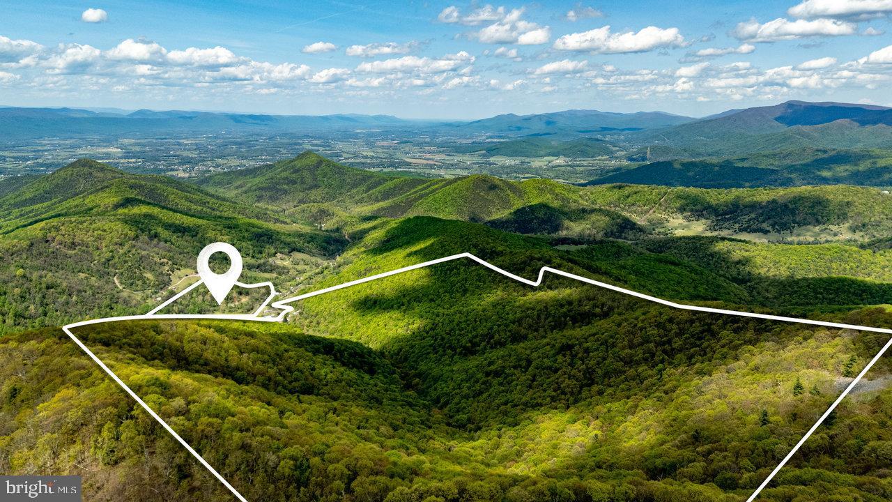 1797 CUBBAGE HOLLOW ROAD, STANLEY, Virginia 22851, ,Land,For sale,1797 CUBBAGE HOLLOW ROAD,VAPA2004886 MLS # VAPA2004886
