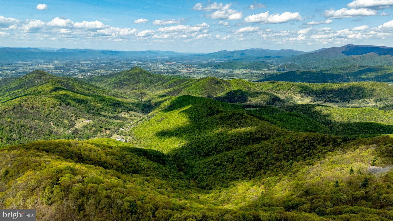 1797 CUBBAGE HOLLOW ROAD, STANLEY, Virginia 22851, ,Land,For sale,1797 CUBBAGE HOLLOW ROAD,VAPA2004886 MLS # VAPA2004886