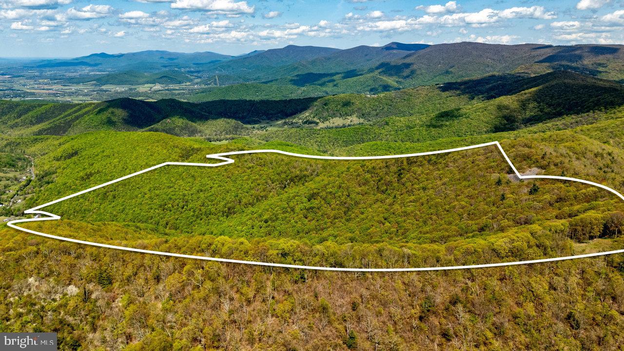 1797 CUBBAGE HOLLOW ROAD, STANLEY, Virginia 22851, ,Land,For sale,1797 CUBBAGE HOLLOW ROAD,VAPA2004886 MLS # VAPA2004886