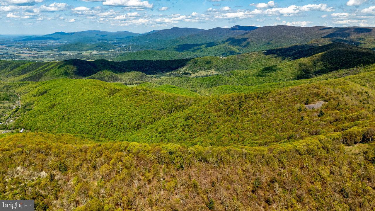 1797 CUBBAGE HOLLOW ROAD, STANLEY, Virginia 22851, ,Land,For sale,1797 CUBBAGE HOLLOW ROAD,VAPA2004886 MLS # VAPA2004886