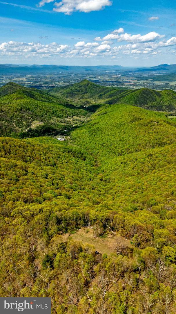 1797 CUBBAGE HOLLOW ROAD, STANLEY, Virginia 22851, ,Land,For sale,1797 CUBBAGE HOLLOW ROAD,VAPA2004886 MLS # VAPA2004886