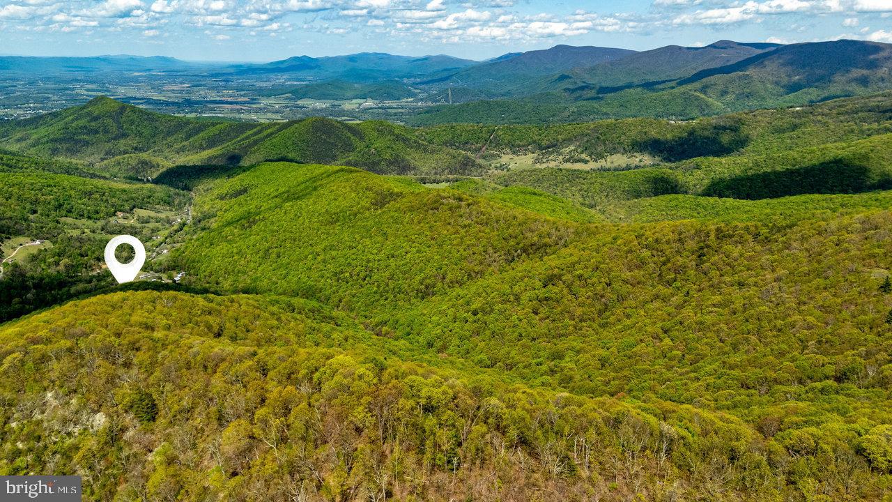 1797 CUBBAGE HOLLOW ROAD, STANLEY, Virginia 22851, ,Land,For sale,1797 CUBBAGE HOLLOW ROAD,VAPA2004886 MLS # VAPA2004886
