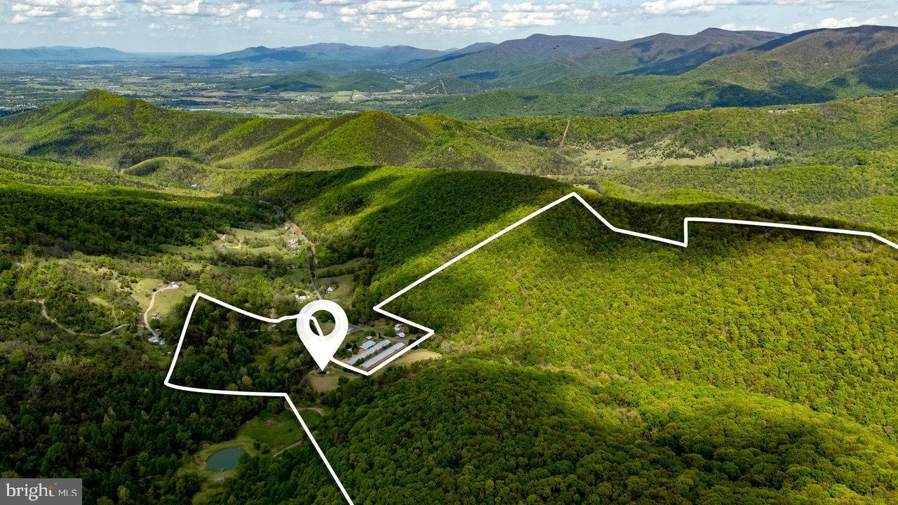1797 CUBBAGE HOLLOW ROAD, STANLEY, Virginia 22851, ,Land,For sale,1797 CUBBAGE HOLLOW ROAD,VAPA2004886 MLS # VAPA2004886