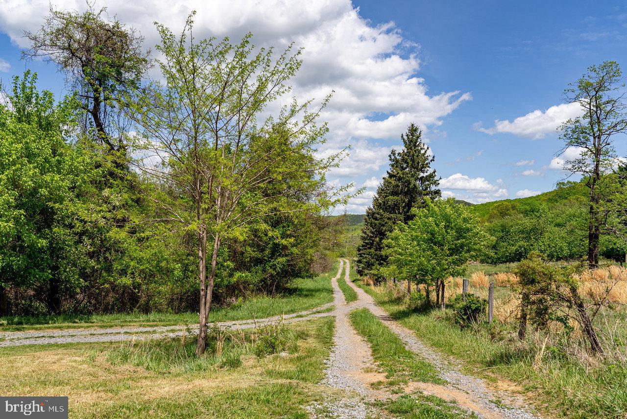 1797 CUBBAGE HOLLOW ROAD, STANLEY, Virginia 22851, ,Land,For sale,1797 CUBBAGE HOLLOW ROAD,VAPA2004886 MLS # VAPA2004886