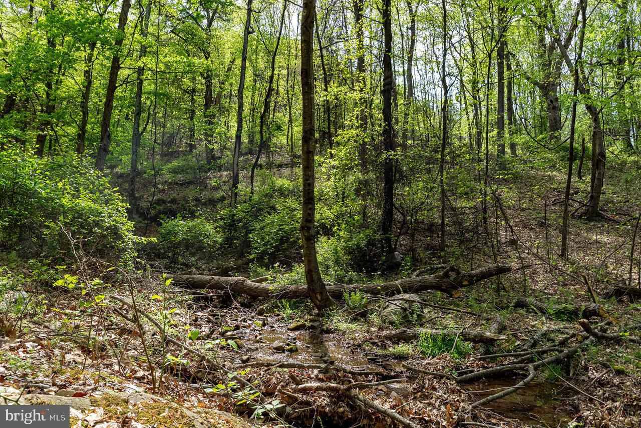 1797 CUBBAGE HOLLOW ROAD, STANLEY, Virginia 22851, ,Land,For sale,1797 CUBBAGE HOLLOW ROAD,VAPA2004886 MLS # VAPA2004886