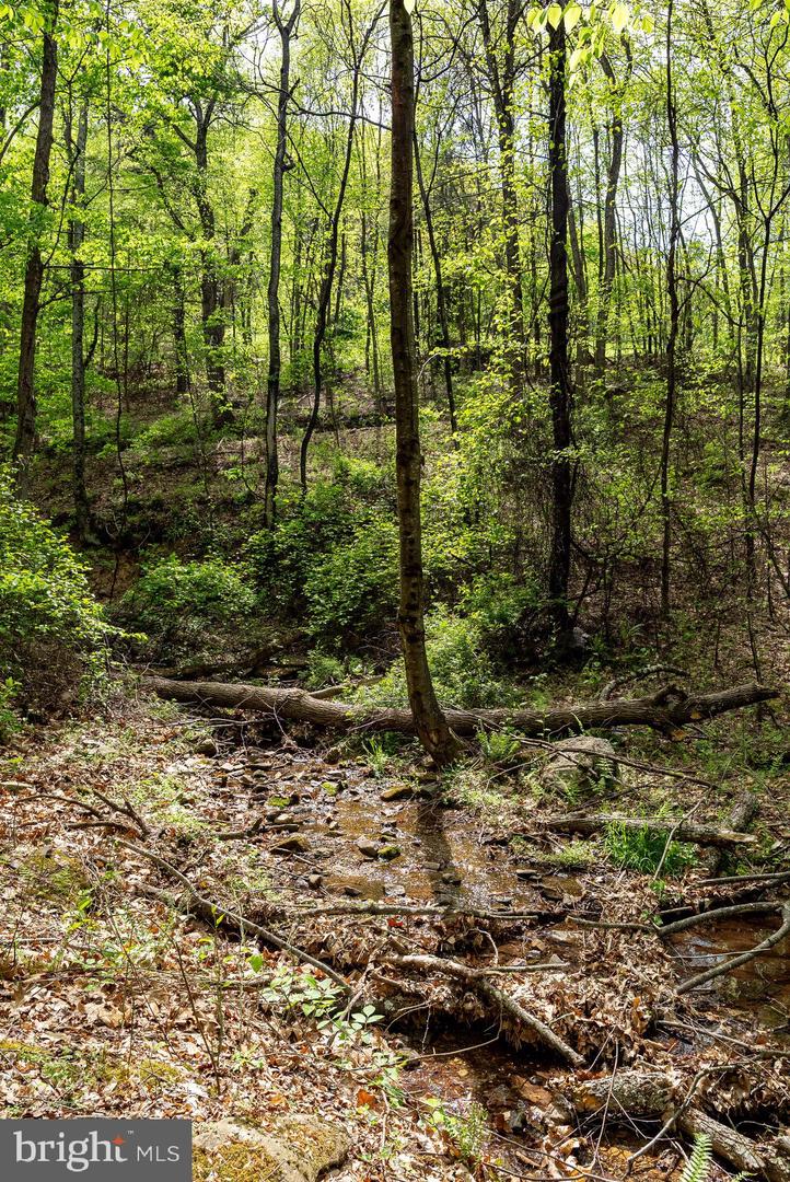1797 CUBBAGE HOLLOW ROAD, STANLEY, Virginia 22851, ,Land,For sale,1797 CUBBAGE HOLLOW ROAD,VAPA2004886 MLS # VAPA2004886
