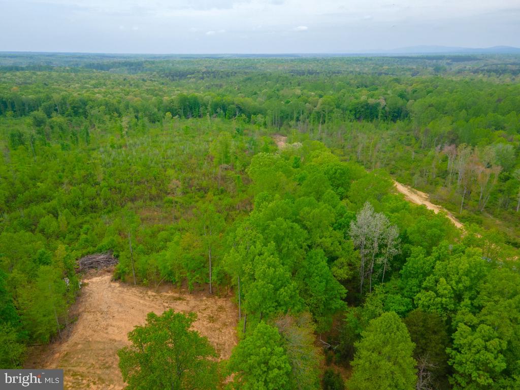 MONROVIA RD, ORANGE, Virginia 22960, ,Land,For sale,MONROVIA RD,VAOR2009652 MLS # VAOR2009652