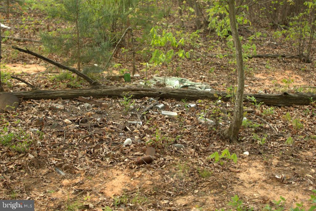 MONROVIA RD, ORANGE, Virginia 22960, ,Land,For sale,MONROVIA RD,VAOR2009652 MLS # VAOR2009652