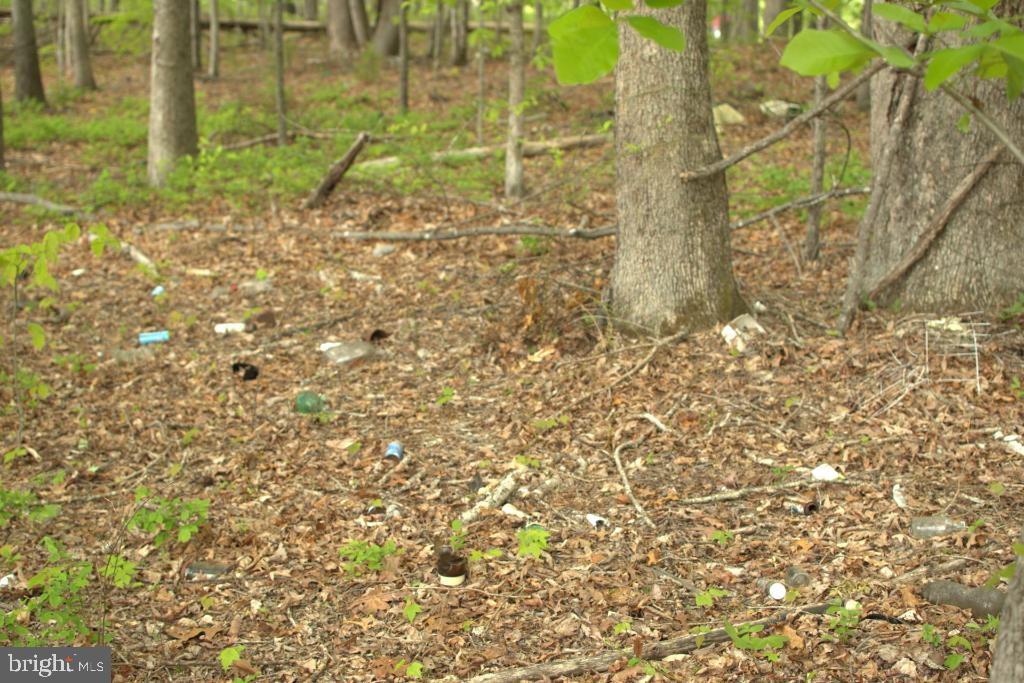 MONROVIA RD, ORANGE, Virginia 22960, ,Land,For sale,MONROVIA RD,VAOR2009652 MLS # VAOR2009652