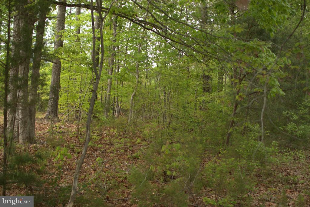 MONROVIA RD, ORANGE, Virginia 22960, ,Land,For sale,MONROVIA RD,VAOR2009652 MLS # VAOR2009652