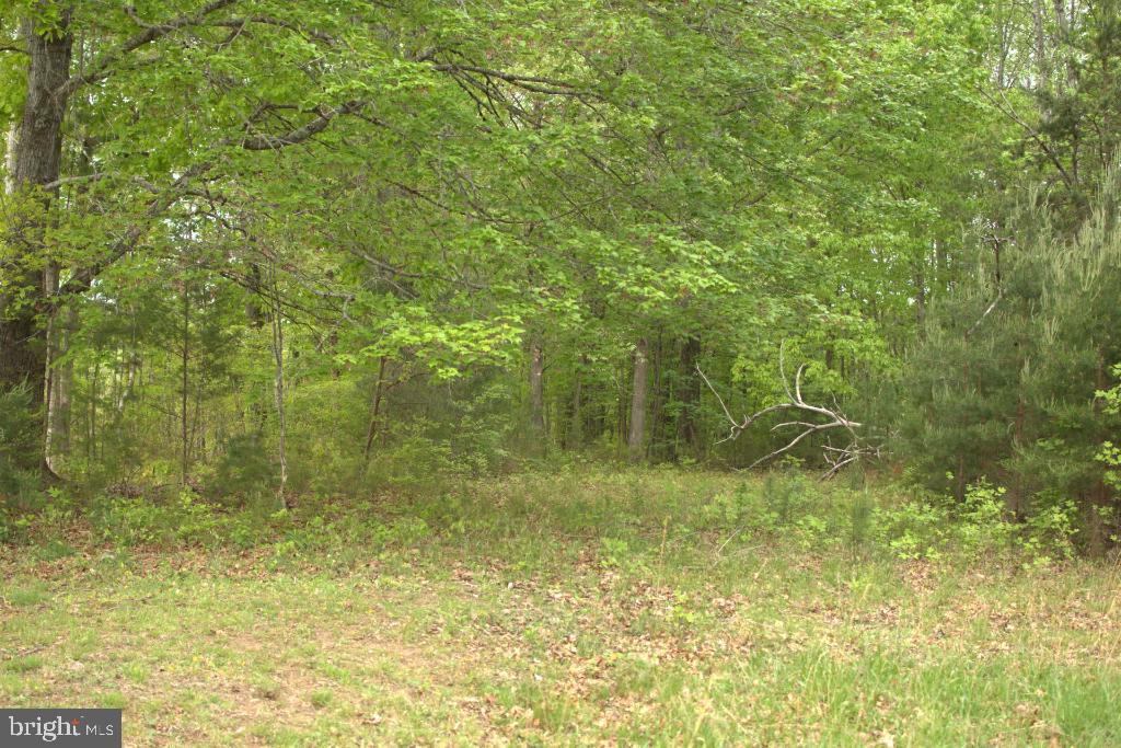 MONROVIA RD, ORANGE, Virginia 22960, ,Land,For sale,MONROVIA RD,VAOR2009652 MLS # VAOR2009652