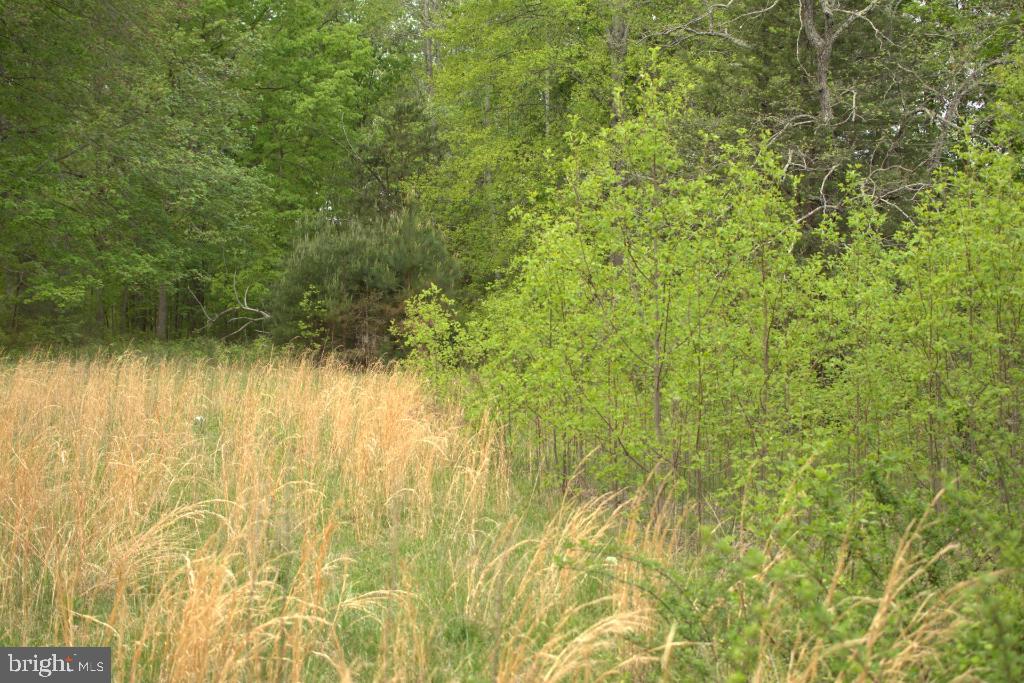MONROVIA RD, ORANGE, Virginia 22960, ,Land,For sale,MONROVIA RD,VAOR2009652 MLS # VAOR2009652