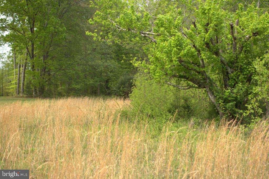MONROVIA RD, ORANGE, Virginia 22960, ,Land,For sale,MONROVIA RD,VAOR2009652 MLS # VAOR2009652
