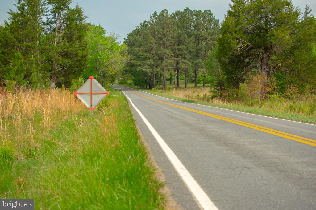 MONROVIA RD, ORANGE, Virginia 22960, ,Land,For sale,MONROVIA RD,VAOR2009652 MLS # VAOR2009652