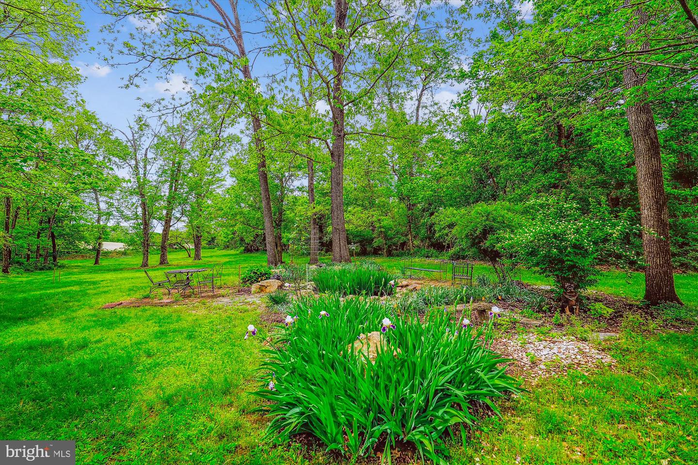 245 RIVER HOUSE LN, BOYCE, Virginia 22620, 4 Bedrooms Bedrooms, ,3 BathroomsBathrooms,Residential,For sale,245 RIVER HOUSE LN,VACL2003560 MLS # VACL2003560