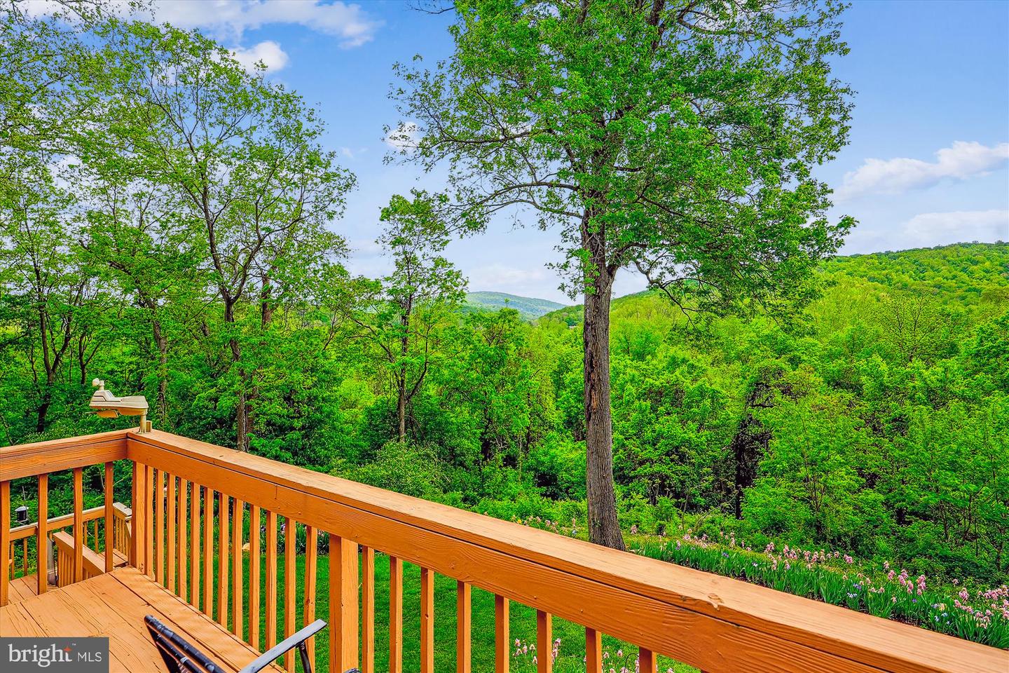 245 RIVER HOUSE LN, BOYCE, Virginia 22620, 4 Bedrooms Bedrooms, ,3 BathroomsBathrooms,Residential,For sale,245 RIVER HOUSE LN,VACL2003560 MLS # VACL2003560