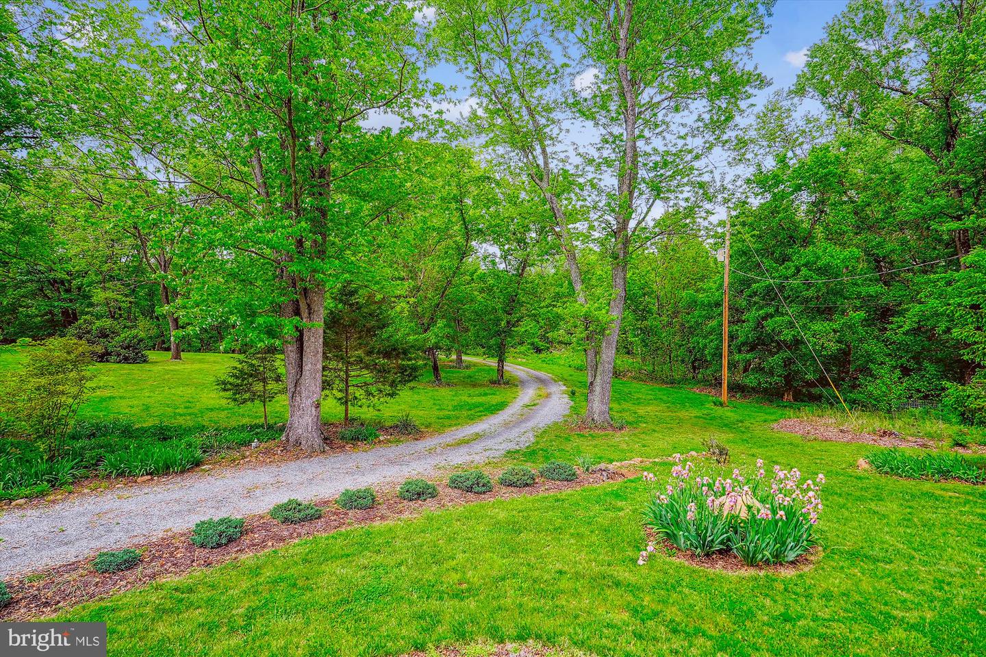 245 RIVER HOUSE LN, BOYCE, Virginia 22620, 4 Bedrooms Bedrooms, ,3 BathroomsBathrooms,Residential,For sale,245 RIVER HOUSE LN,VACL2003560 MLS # VACL2003560