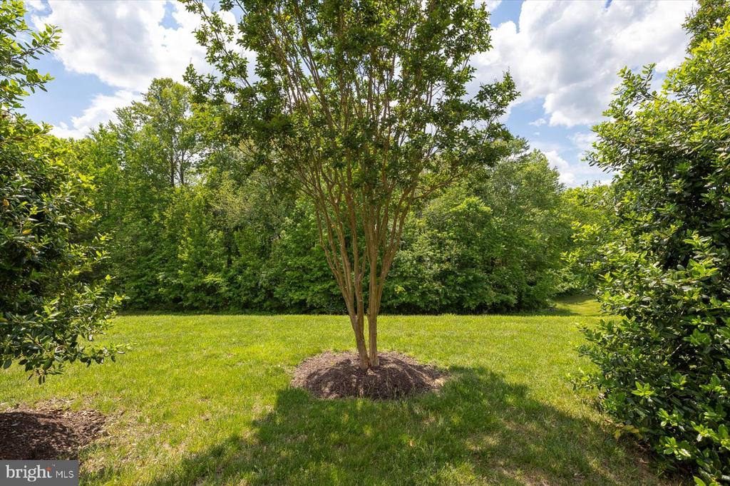 6906 CASTLETON DR, FREDERICKSBURG, Virginia 22407, 3 Bedrooms Bedrooms, ,2 BathroomsBathrooms,Residential,6906 CASTLETON DR,VASP2032910 MLS # VASP2032910