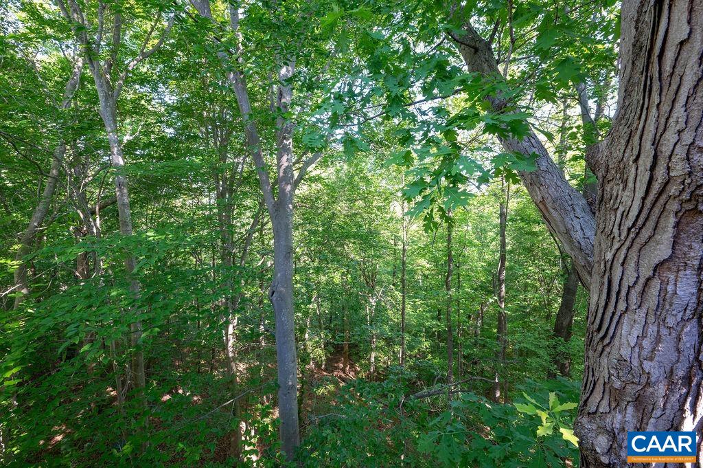 1258 CLIFDEN GREENE, CHARLOTTESVILLE, Virginia 22901, 2 Bedrooms Bedrooms, ,2 BathroomsBathrooms,Residential,1258 CLIFDEN GREENE,664340 MLS # 664340