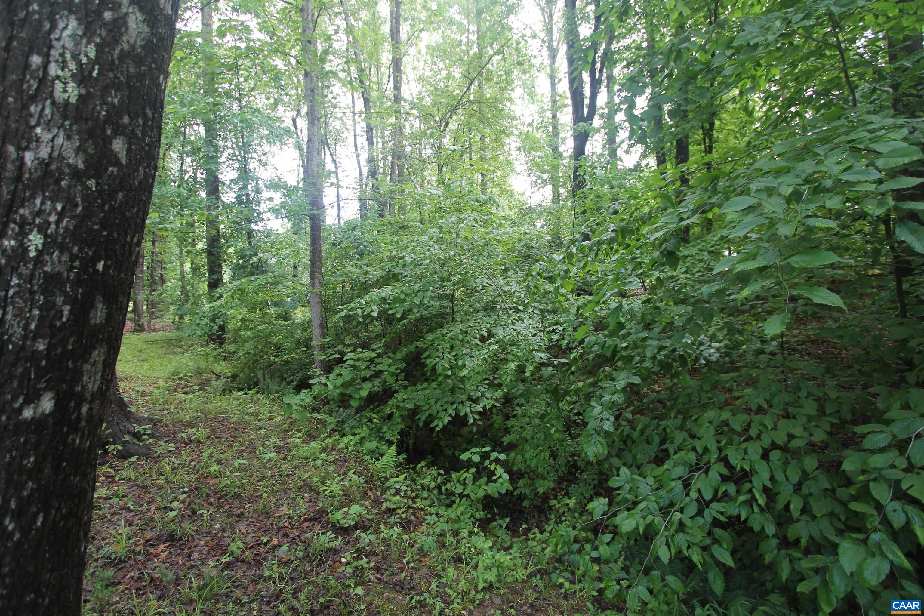1 STONEWALL RD, PALMYRA, Virginia 22963, 3 Bedrooms Bedrooms, ,3 BathroomsBathrooms,Residential,1 STONEWALL RD,664361 MLS # 664361