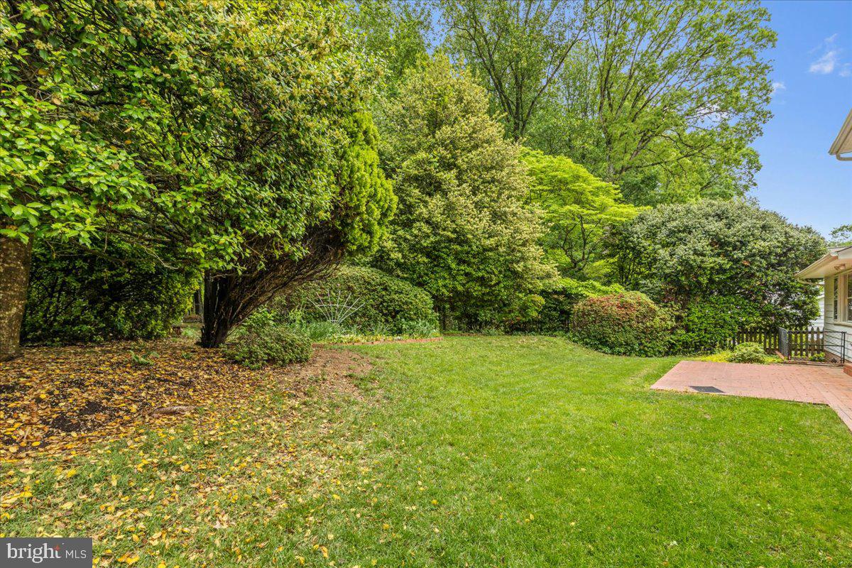 8212 CHIVALRY RD, ANNANDALE, Virginia 22003, 4 Bedrooms Bedrooms, ,2 BathroomsBathrooms,Residential,For sale,8212 CHIVALRY RD,VAFX2237006 MLS # VAFX2237006