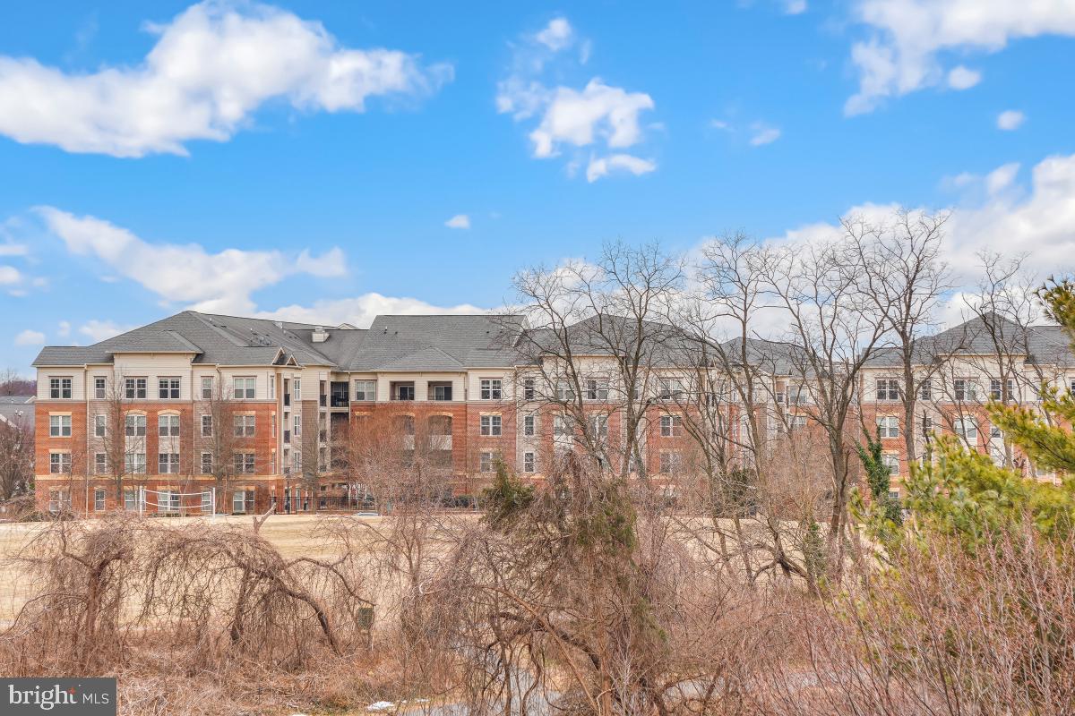 5901 MOUNT EAGLE DR #509, ALEXANDRIA, Virginia 22303, 2 Bedrooms Bedrooms, 8 Rooms Rooms,2 BathroomsBathrooms,Residential,For sale,5901 MOUNT EAGLE DR #509,VAFX2239236 MLS # VAFX2239236