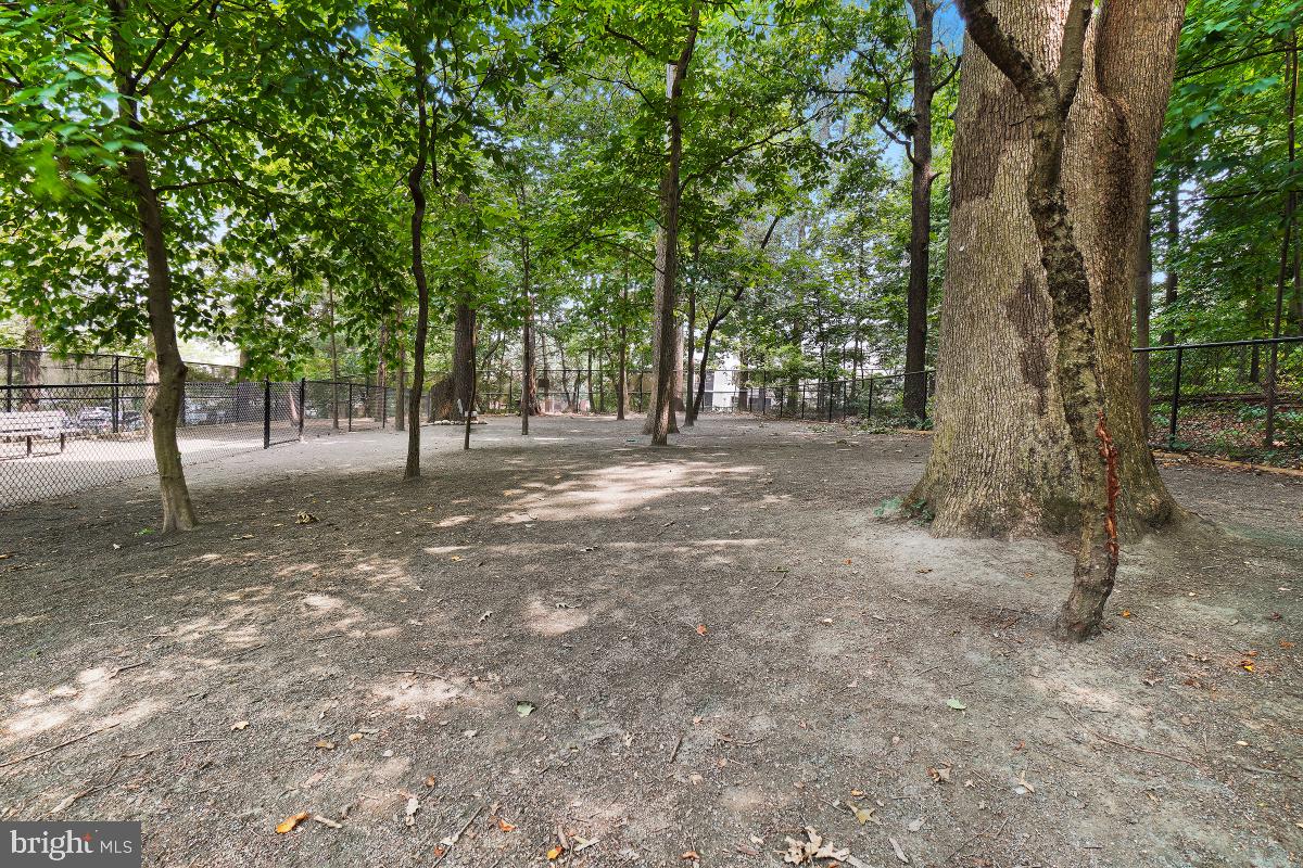 5901 MOUNT EAGLE DR #509, ALEXANDRIA, Virginia 22303, 2 Bedrooms Bedrooms, 8 Rooms Rooms,2 BathroomsBathrooms,Residential,For sale,5901 MOUNT EAGLE DR #509,VAFX2239236 MLS # VAFX2239236