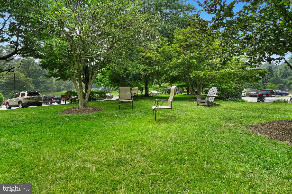5901 MOUNT EAGLE DR #509, ALEXANDRIA, Virginia 22303, 2 Bedrooms Bedrooms, 8 Rooms Rooms,2 BathroomsBathrooms,Residential,For sale,5901 MOUNT EAGLE DR #509,VAFX2239236 MLS # VAFX2239236