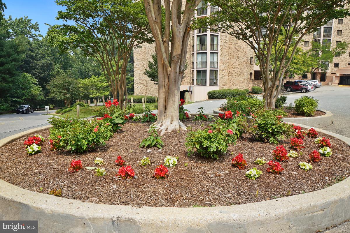 5901 MOUNT EAGLE DR #509, ALEXANDRIA, Virginia 22303, 2 Bedrooms Bedrooms, 8 Rooms Rooms,2 BathroomsBathrooms,Residential,For sale,5901 MOUNT EAGLE DR #509,VAFX2239236 MLS # VAFX2239236