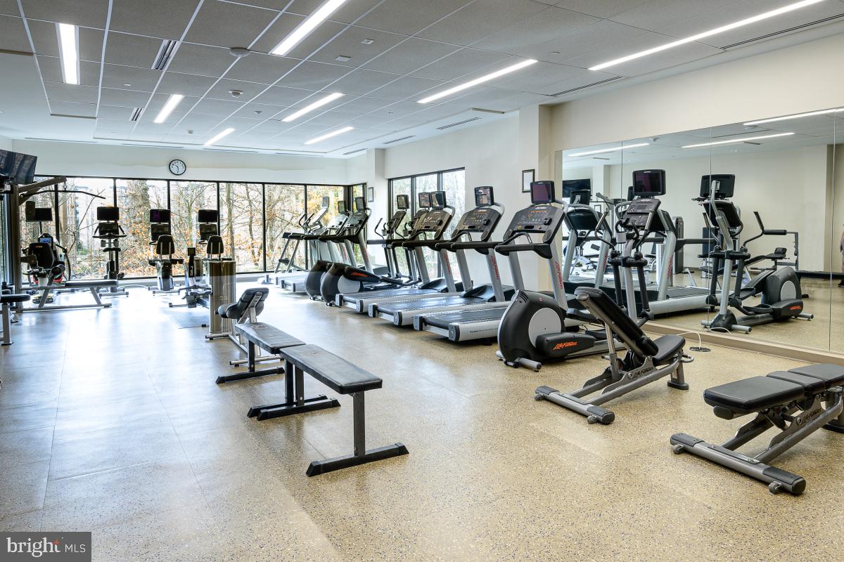 5901 MOUNT EAGLE DR #509, ALEXANDRIA, Virginia 22303, 2 Bedrooms Bedrooms, 8 Rooms Rooms,2 BathroomsBathrooms,Residential,For sale,5901 MOUNT EAGLE DR #509,VAFX2239236 MLS # VAFX2239236