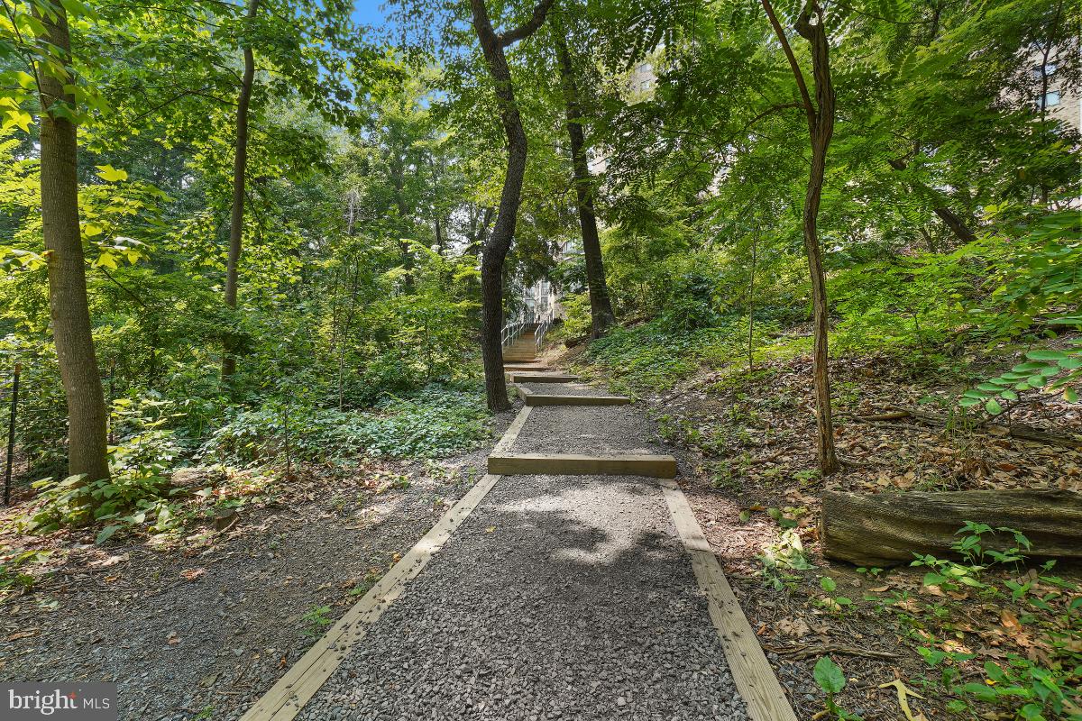 5901 MOUNT EAGLE DR #509, ALEXANDRIA, Virginia 22303, 2 Bedrooms Bedrooms, 8 Rooms Rooms,2 BathroomsBathrooms,Residential,For sale,5901 MOUNT EAGLE DR #509,VAFX2239236 MLS # VAFX2239236