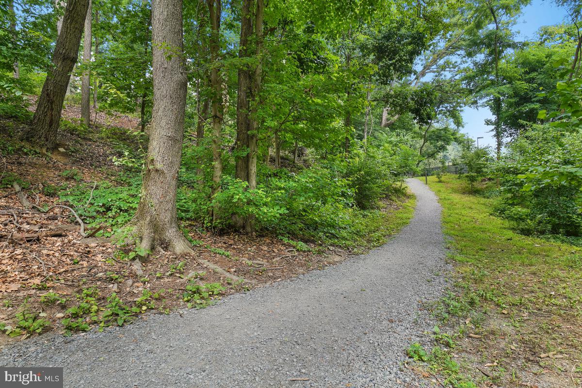 5901 MOUNT EAGLE DR #509, ALEXANDRIA, Virginia 22303, 2 Bedrooms Bedrooms, 8 Rooms Rooms,2 BathroomsBathrooms,Residential,For sale,5901 MOUNT EAGLE DR #509,VAFX2239236 MLS # VAFX2239236