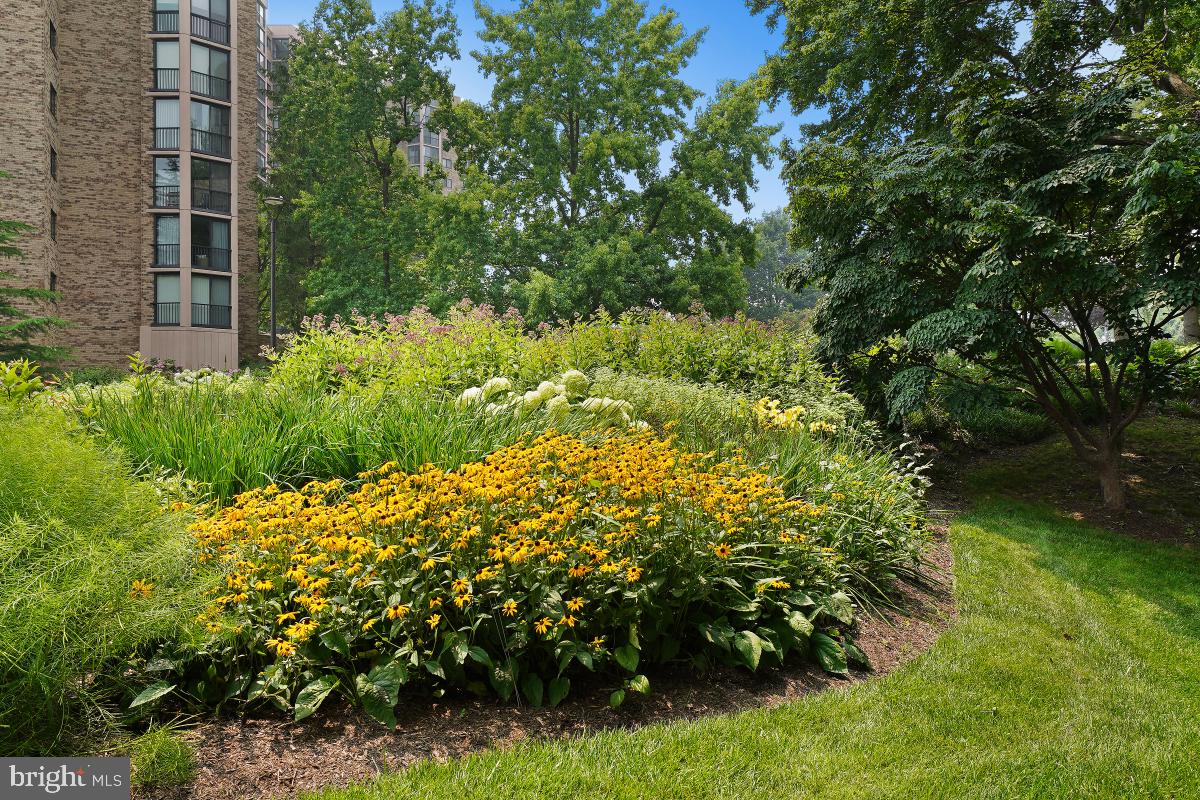 5901 MOUNT EAGLE DR #509, ALEXANDRIA, Virginia 22303, 2 Bedrooms Bedrooms, 8 Rooms Rooms,2 BathroomsBathrooms,Residential,For sale,5901 MOUNT EAGLE DR #509,VAFX2239236 MLS # VAFX2239236
