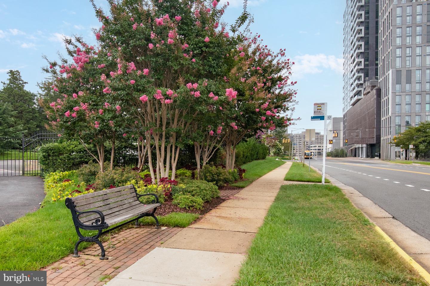 8350 GREENSBORO DR #709, MCLEAN, Virginia 22102, 1 Bedroom Bedrooms, ,1 BathroomBathrooms,Residential,For sale,8350 GREENSBORO DR #709,VAFX2225500 MLS # VAFX2225500