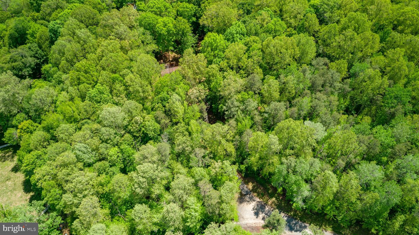 6000 HARTS RUN, SPOTSYLVANIA, Virginia 22551, 3 Bedrooms Bedrooms, ,2 BathroomsBathrooms,Farm,For sale,6000 HARTS RUN,VASP2033000 MLS # VASP2033000