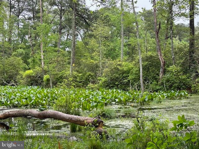 LOT 35 KNIGHTS LANDING DR, HEATHSVILLE, Virginia 22473, ,Land,For sale,LOT 35 KNIGHTS LANDING DR,VANV2001582 MLS # VANV2001582