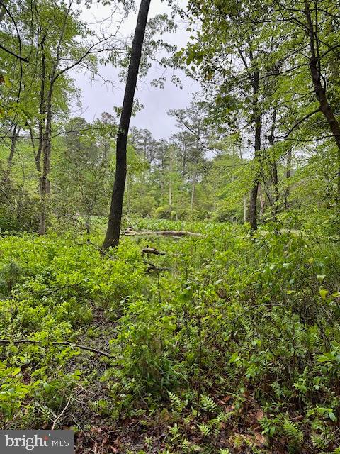 LOT 35 KNIGHTS LANDING DR, HEATHSVILLE, Virginia 22473, ,Land,For sale,LOT 35 KNIGHTS LANDING DR,VANV2001582 MLS # VANV2001582
