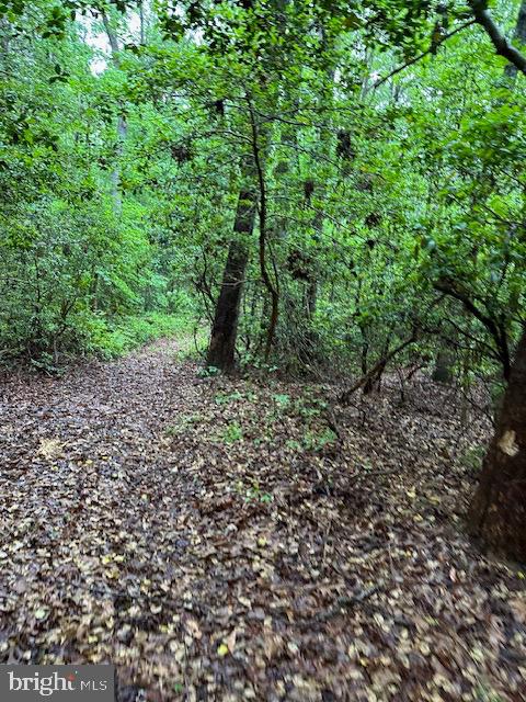 LOT 35 KNIGHTS LANDING DR, HEATHSVILLE, Virginia 22473, ,Land,For sale,LOT 35 KNIGHTS LANDING DR,VANV2001582 MLS # VANV2001582