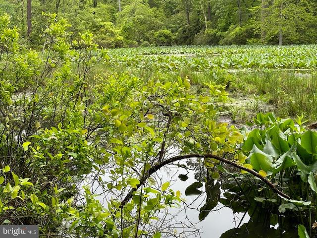 LOT 35 KNIGHTS LANDING DR, HEATHSVILLE, Virginia 22473, ,Land,For sale,LOT 35 KNIGHTS LANDING DR,VANV2001582 MLS # VANV2001582