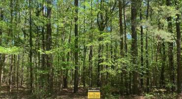 LOT 35 KNIGHTS LANDING DR, HEATHSVILLE, Virginia 22473, ,Land,For sale,LOT 35 KNIGHTS LANDING DR,VANV2001582 MLS # VANV2001582