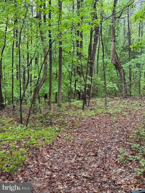 LOT 36 KNIGHTS LANDING DR, HEATHSVILLE, Virginia 22473, ,Land,For sale,LOT 36 KNIGHTS LANDING DR,VANV2001584 MLS # VANV2001584
