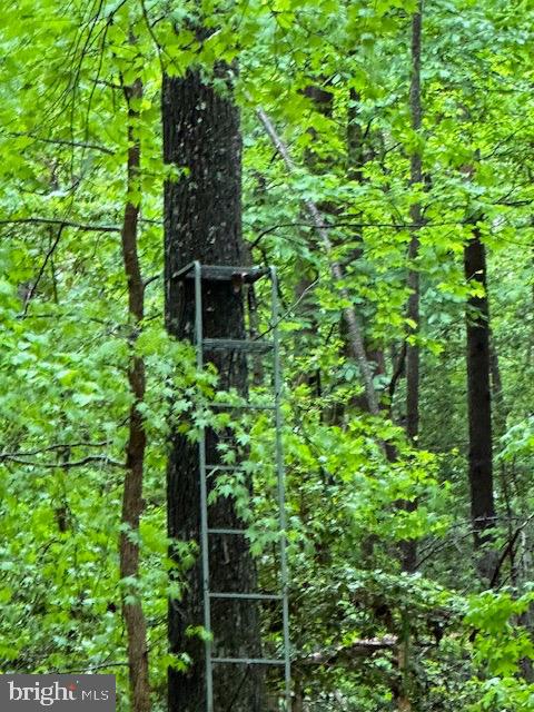 LOT 36 KNIGHTS LANDING DR, HEATHSVILLE, Virginia 22473, ,Land,For sale,LOT 36 KNIGHTS LANDING DR,VANV2001584 MLS # VANV2001584